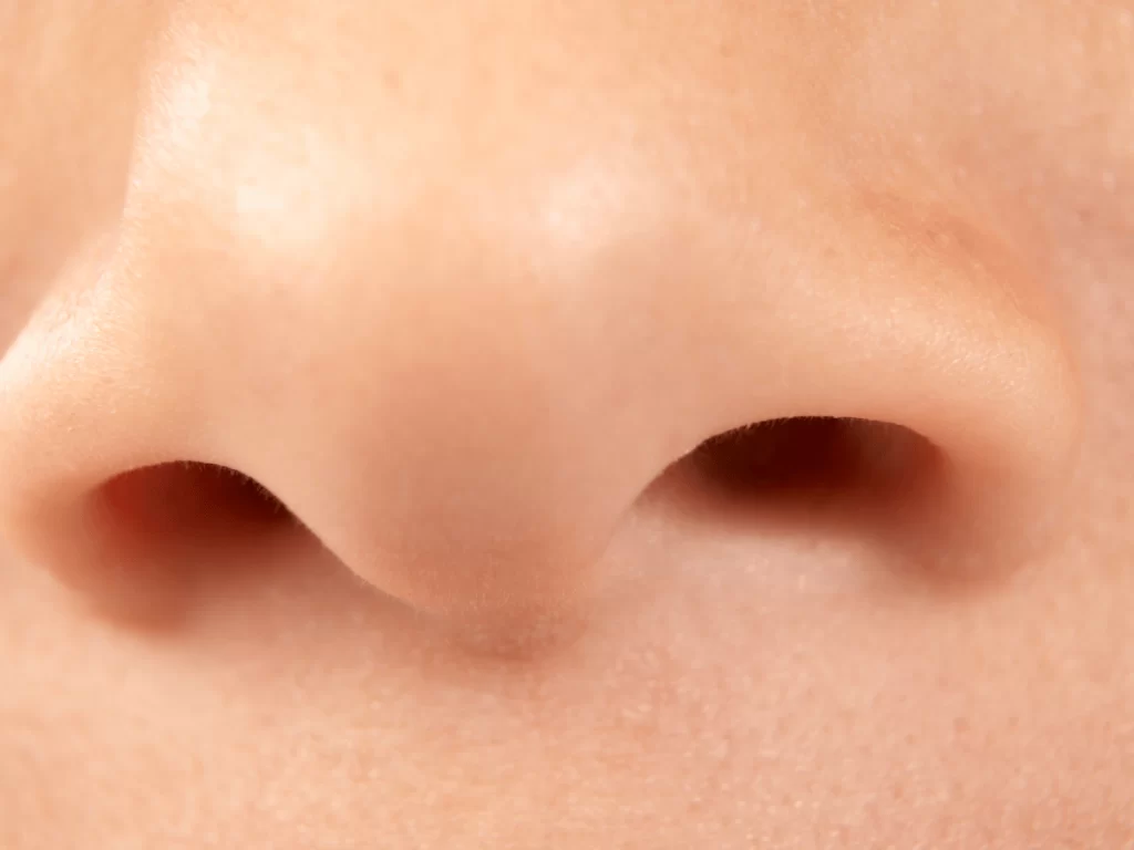 nasal airways