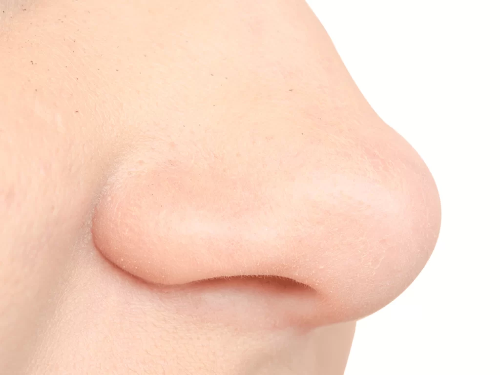 nose tip